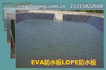 EVA��ˮ��LDPE��ˮ��