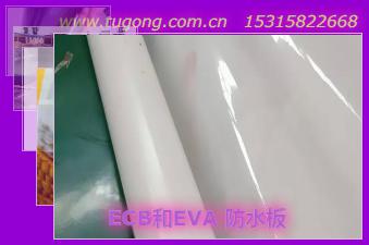 ECB��EVA ��ˮ��
