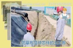 ���ݲ�����������������